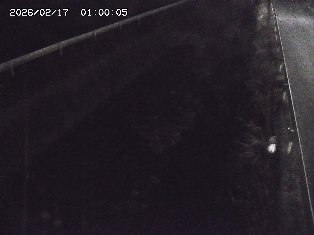 北田川１2026/02/17 18:10