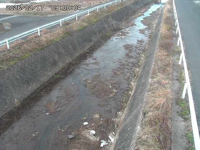 北田川１2026/02/17 18:10