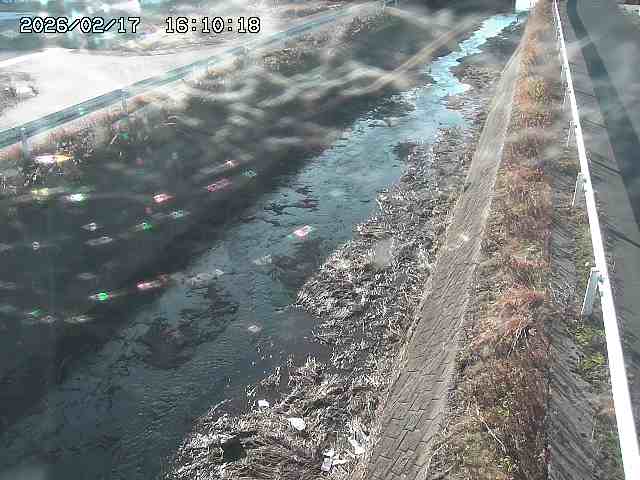 北田川１2026/02/17 18:10