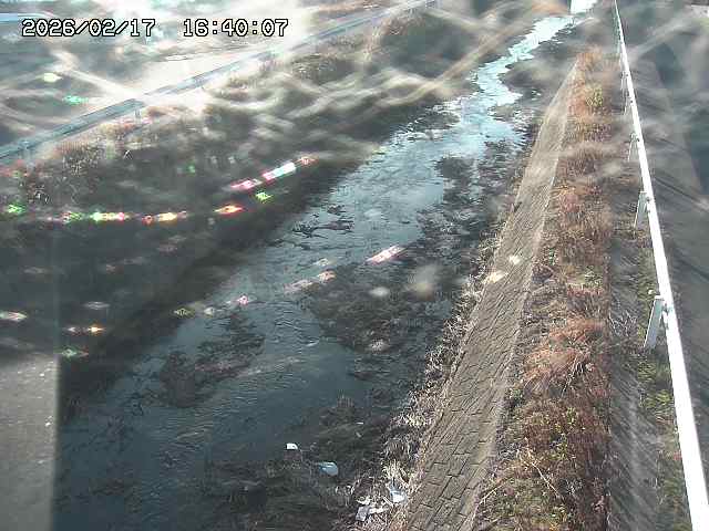 北田川１2026/02/17 18:10