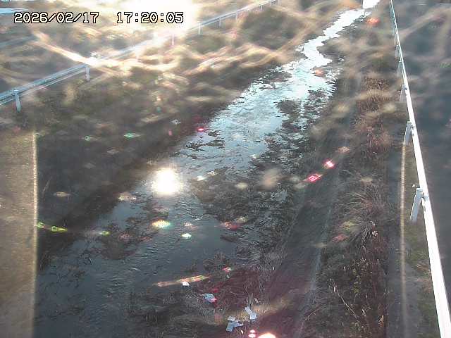 北田川１2026/02/17 18:10