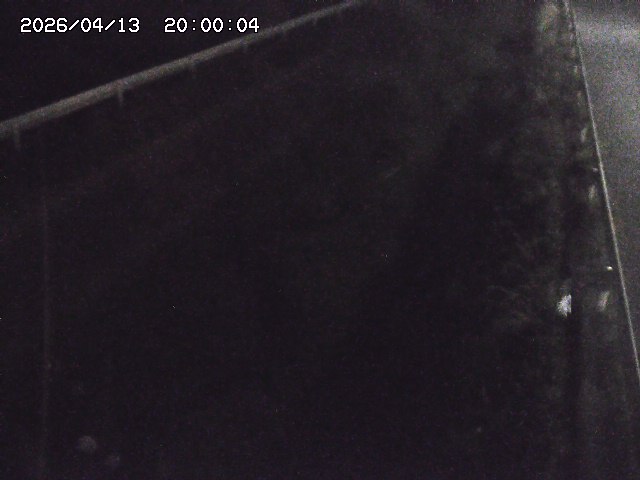 北田川１2026/04/14 16:50