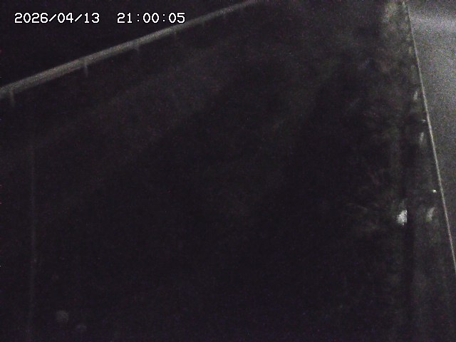 北田川１2026/04/14 16:50