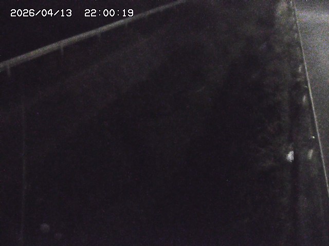 北田川１2026/04/14 16:50