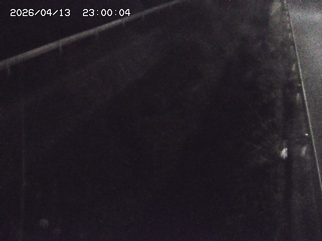 北田川１2026/04/14 16:50