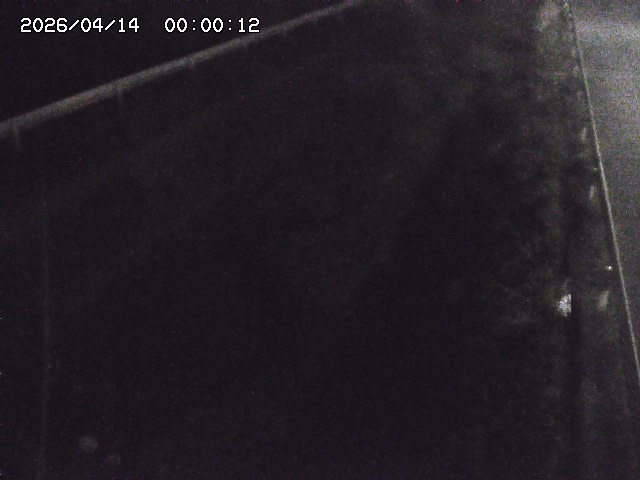 北田川１2026/04/14 16:50