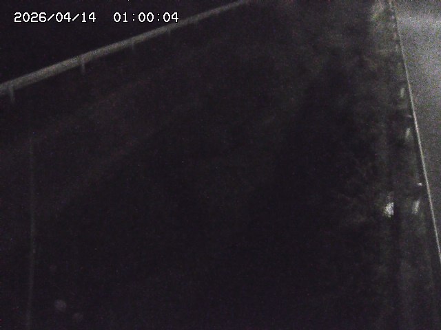 北田川１2026/04/14 16:50