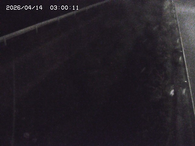 北田川１2026/04/14 16:50