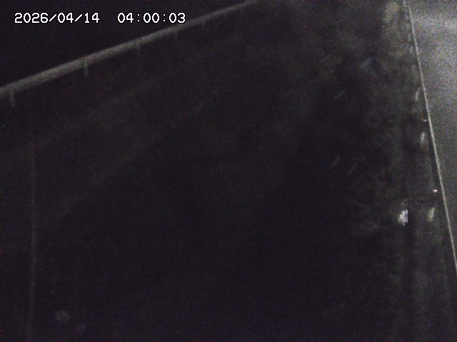 北田川１2026/04/14 16:50