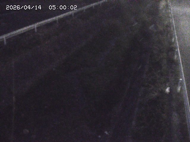 北田川１2026/04/14 16:50