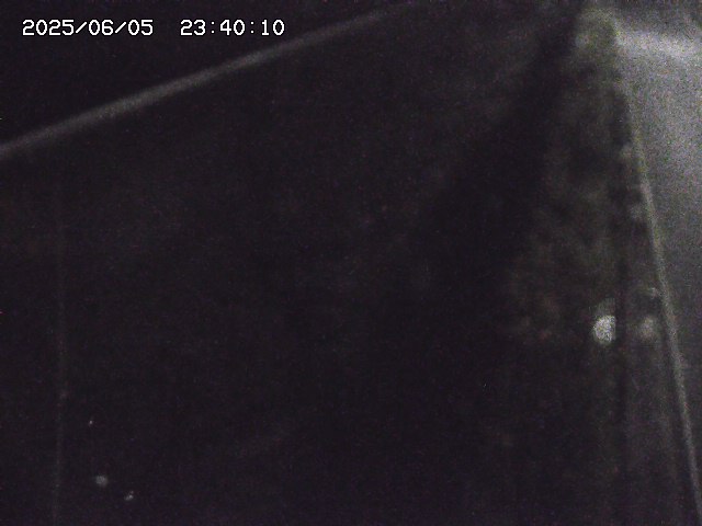 北田川１2025/06/06 01:20