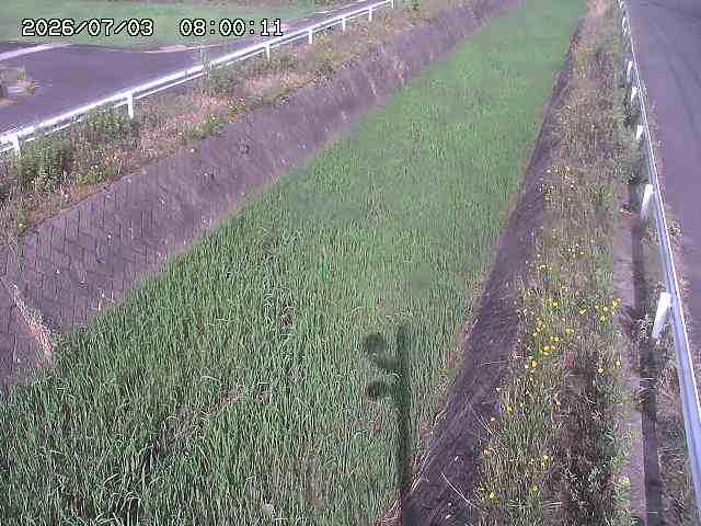 北田川１2026/07/03 08:20