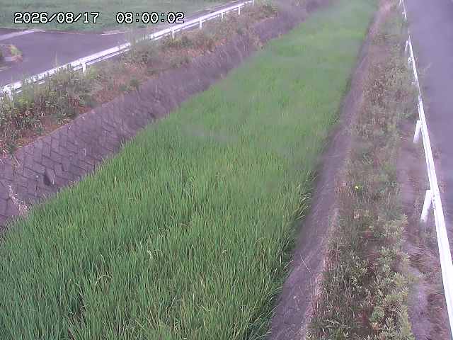 北田川１2026/08/17 20:30