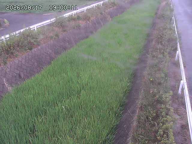 北田川１2026/08/17 20:30