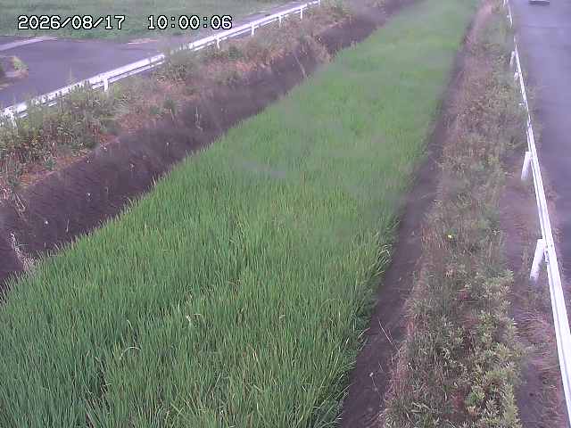北田川１2026/08/17 20:30