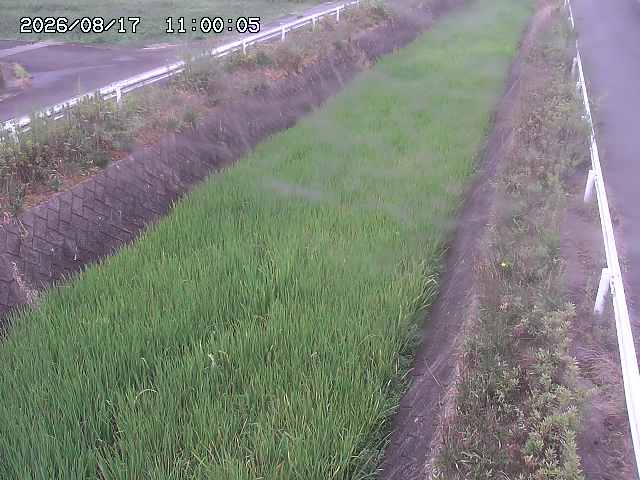 北田川１2026/08/17 20:30