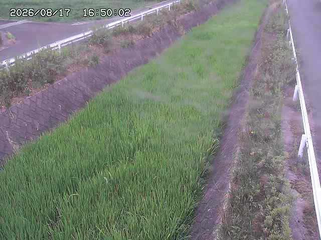 北田川１2026/08/17 20:30