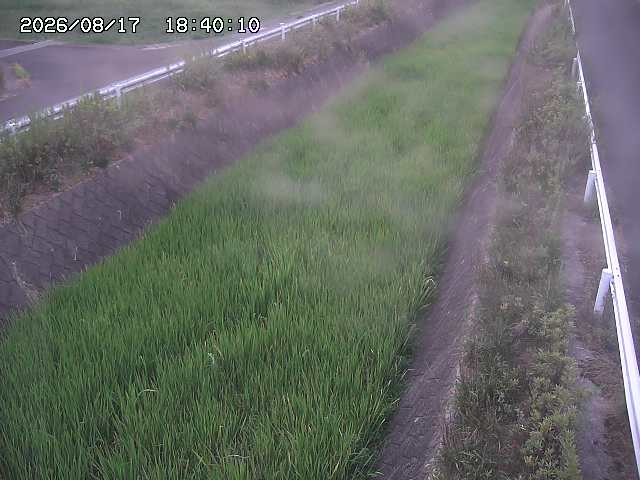 北田川１2026/08/17 20:30