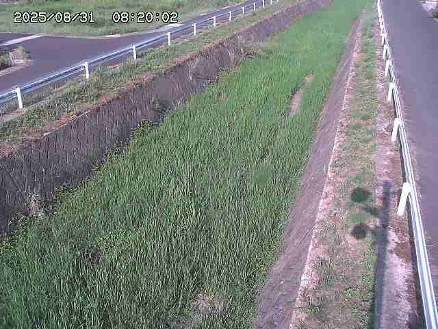 北田川１2025/08/31 09:10