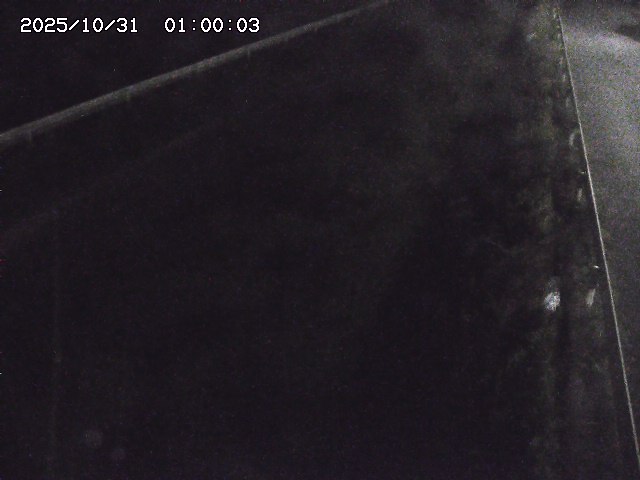 北田川12025/10/31 23:50