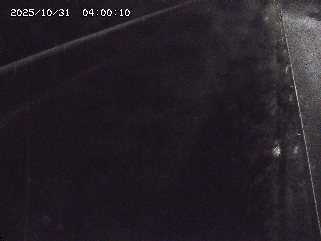 北田川12025/10/31 23:50