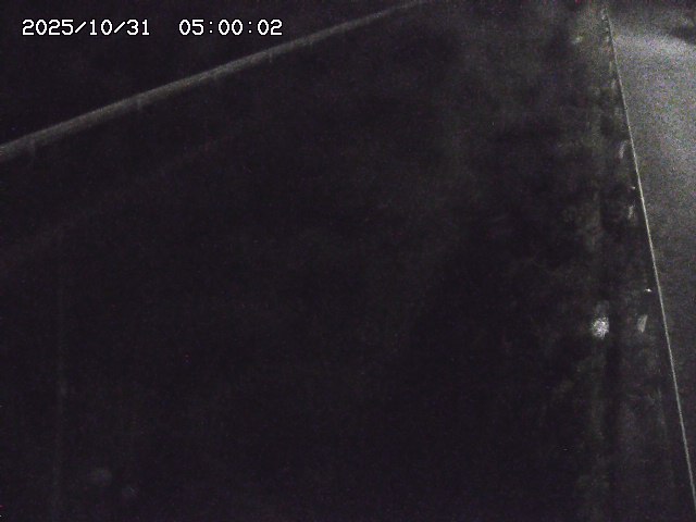 北田川12025/10/31 23:50