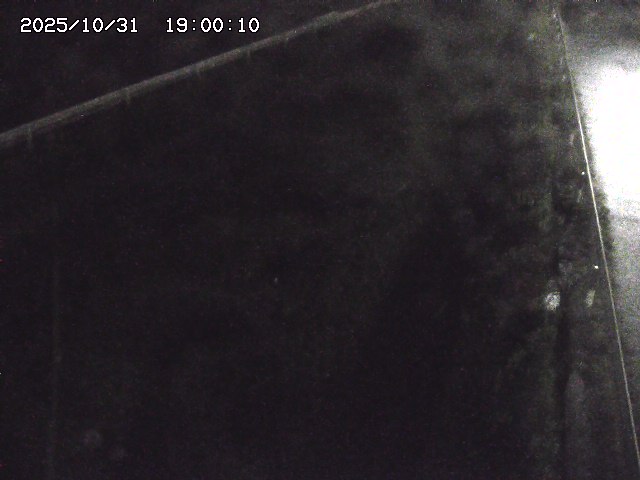 北田川12025/10/31 23:50