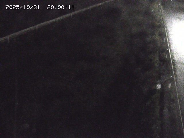 北田川12025/10/31 23:50