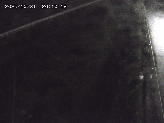 北田川12025/10/31 23:50