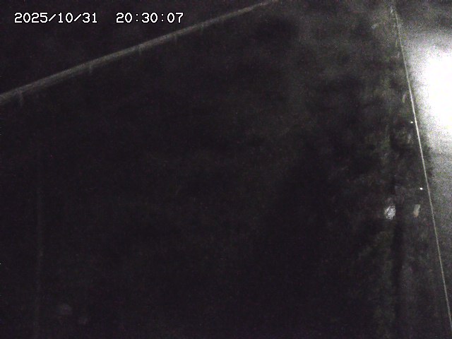 北田川12025/10/31 23:50