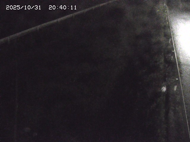 北田川12025/10/31 23:50