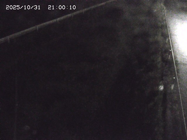 北田川12025/10/31 23:50