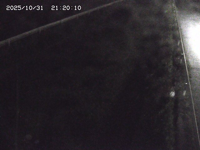 北田川12025/10/31 23:50