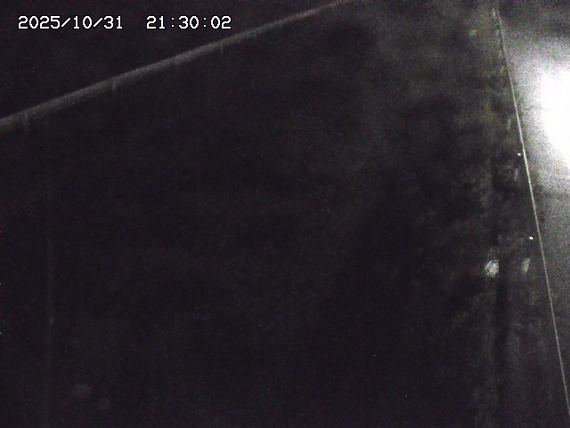 北田川12025/10/31 23:50