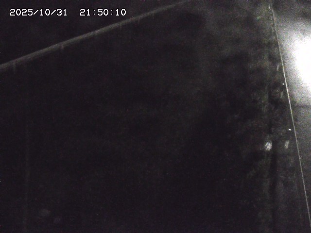 北田川12025/10/31 23:50