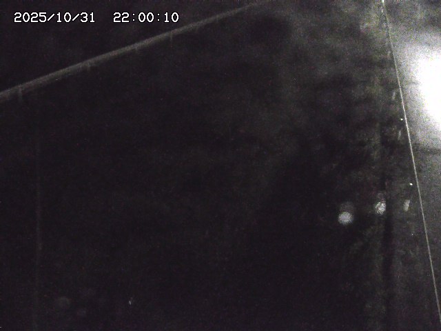 北田川12025/10/31 23:50