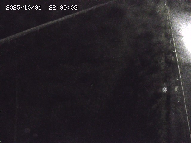 北田川12025/10/31 23:50