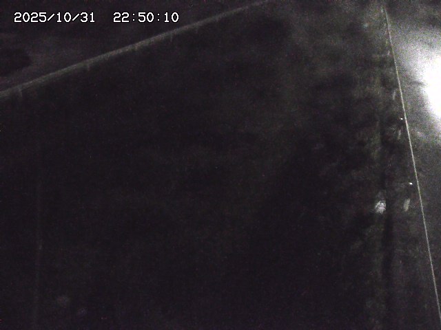 北田川12025/10/31 23:50