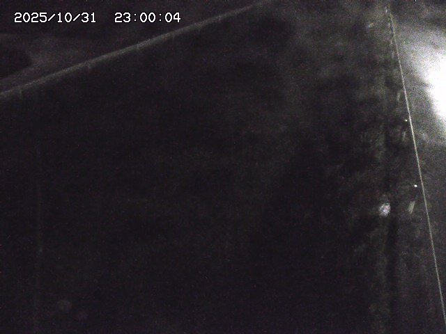 北田川12025/10/31 23:50