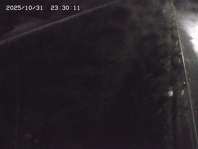 北田川12025/10/31 23:50