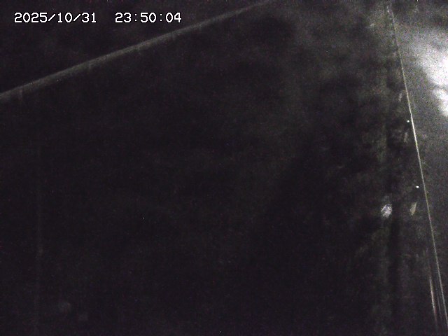 北田川12025/10/31 23:50