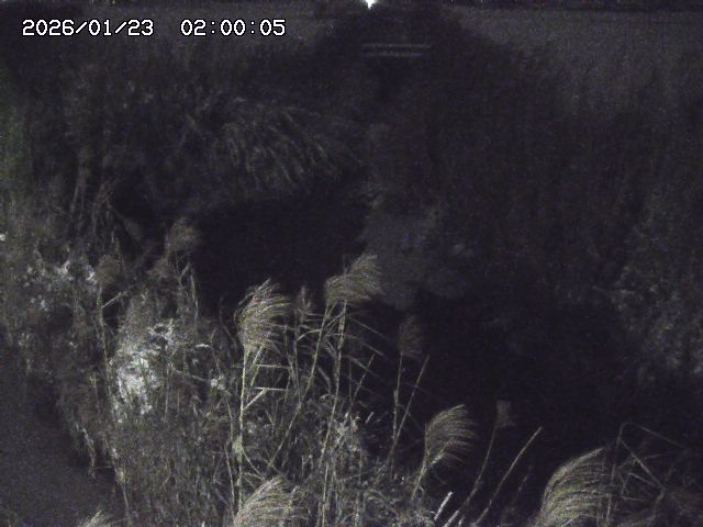 由良川４2026/01/24 02:10