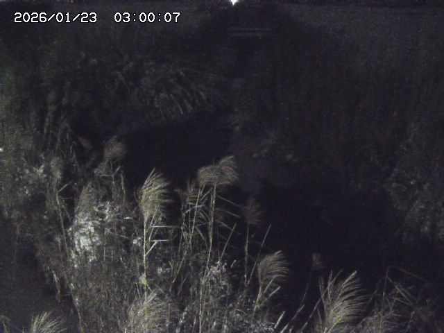 由良川４2026/01/24 02:10