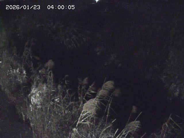 由良川４2026/01/24 02:10