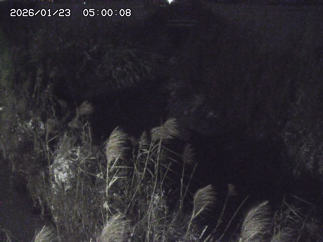 由良川４2026/01/24 02:10