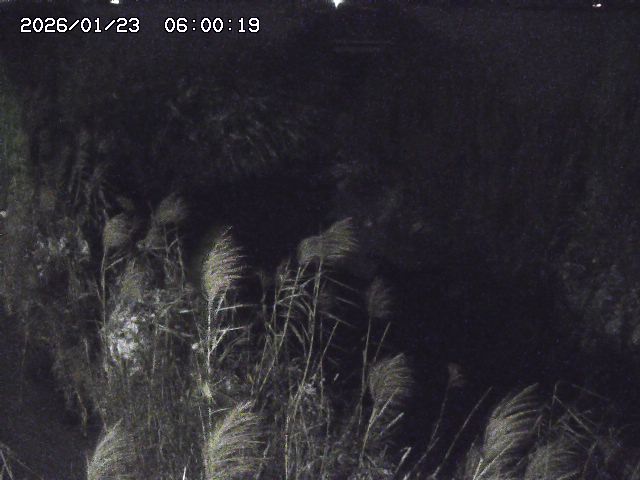 由良川４2026/01/24 02:10