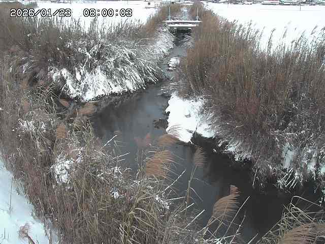 由良川４2026/01/24 02:10