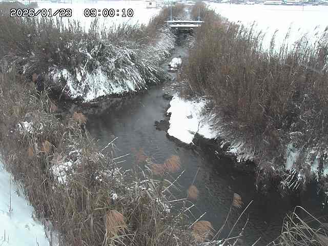 由良川４2026/01/24 02:10