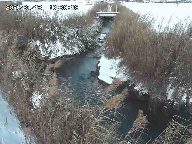 由良川４2026/01/24 02:10