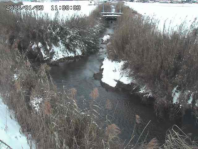 由良川４2026/01/24 02:10